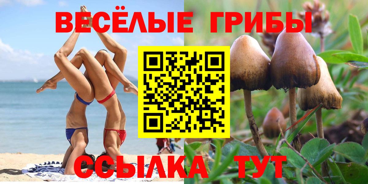 Псилоцибиновые грибы Magic Shrooms  Вход с VPN  где продают наркотики  Лесной  Галлюциногенные грибы прущие грибы 